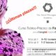 Edición del Curso de Fotografía Dental Noviembre 2017